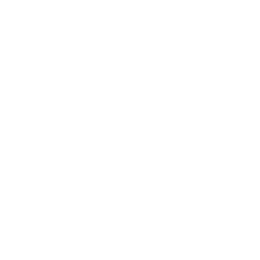 zehnder